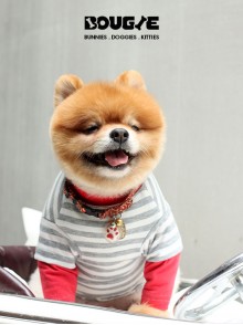 Red Sleeve Striped Jersey